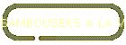 SAMBOUSEKS A LA VIANDE