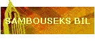 SAMBOUSEKS BIL